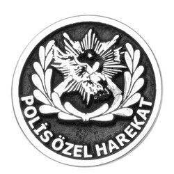 Gümüş Polis Özel Harekat Yaka Rozeti - Thumbnail